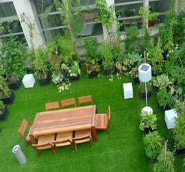 miyawaki forest developer and designer in india