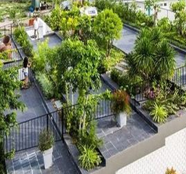 miyawaki forest developer and designer in india